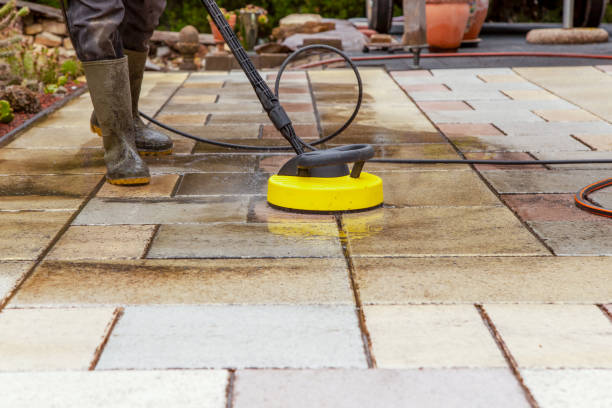 Best Dumpster Area Cleaning  in West Newton, PA
